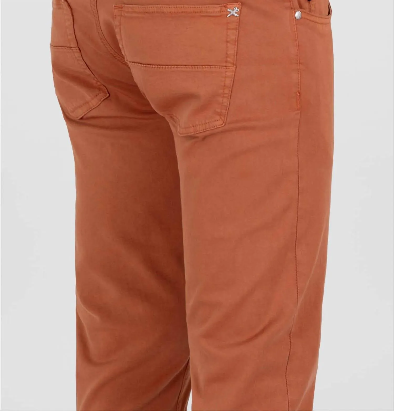 Men's Michelangelo Zip Pant In Brick