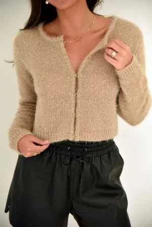 Metallic Gold Hook And Eye Sweater In Brown