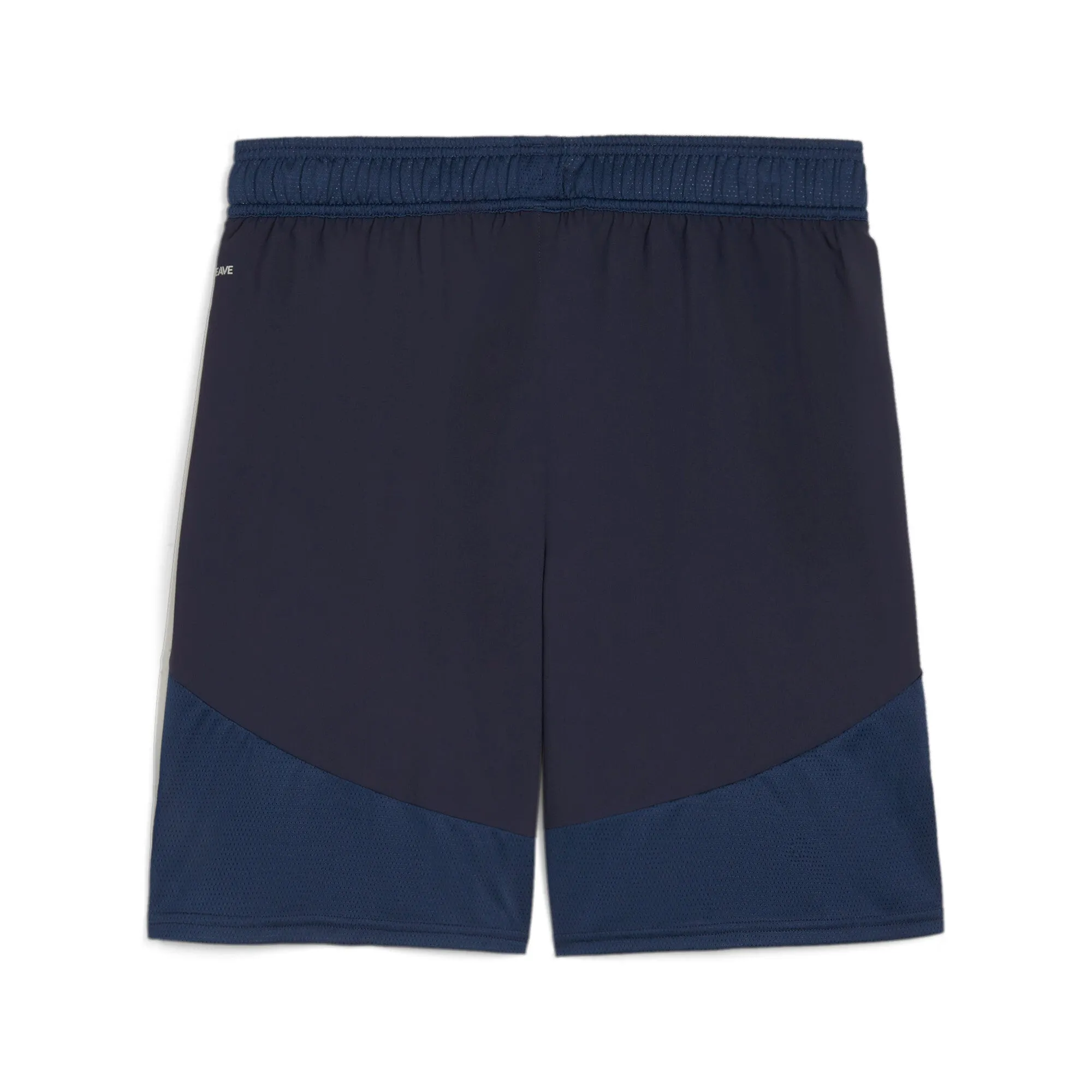 PUMA Men's teamFINAL Soccer Shorts